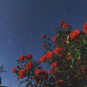 Meet your Posher, May